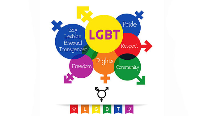 El término "comunidad LGBT" es incorrecto, excluyente y problemático según estudio